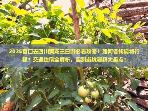 营口去四川黄龙三日游