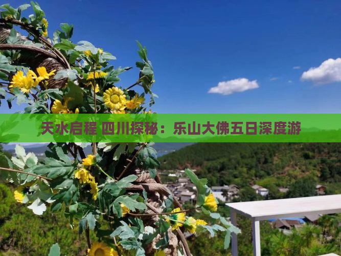 天水启程 四川探秘:乐山大佛五日深度游 天水启程 四川探秘:乐山大佛五日深度游