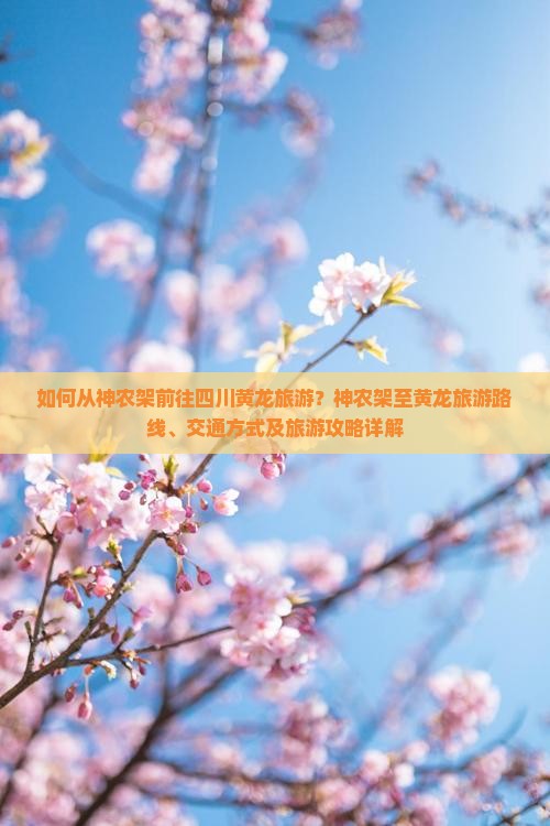 如何从神农架前往四川黄龙旅游？神农架至黄龙旅游路线、交通方式及旅游攻略详解