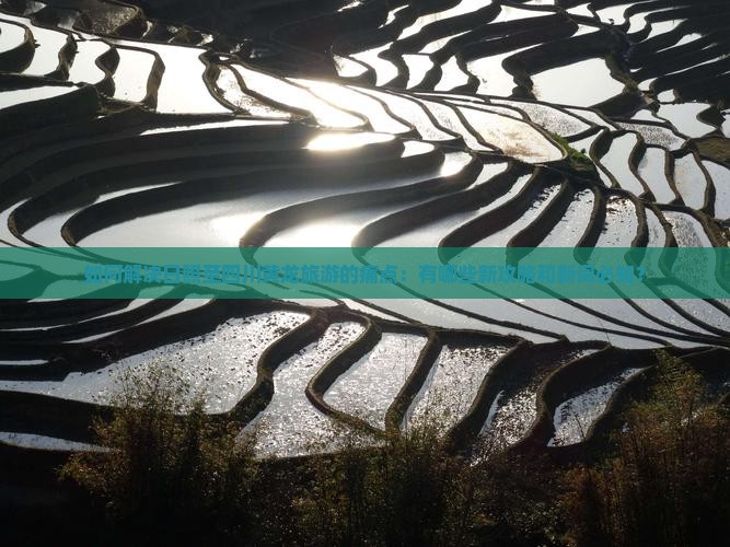 如何解决日照至四川黄龙旅游的痛点：有哪些新攻略和新词必知？