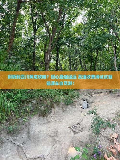 铜陵到四川黄龙攻略？担心路途遥远+高速收费缚试试新能源车自驾游！