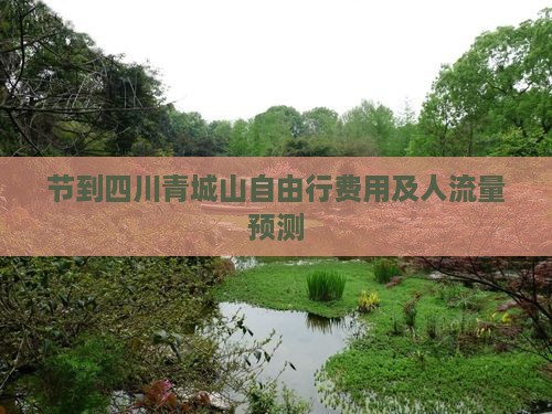 节到四川青城山自由行费用及人流量预测