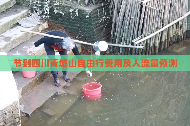节到四川青城山自由行费用及人流量预测