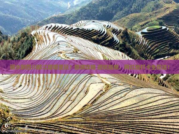 丽水到四川都江堰哪里玩？旅游攻略+避坑指南，网红地打卡全在这！