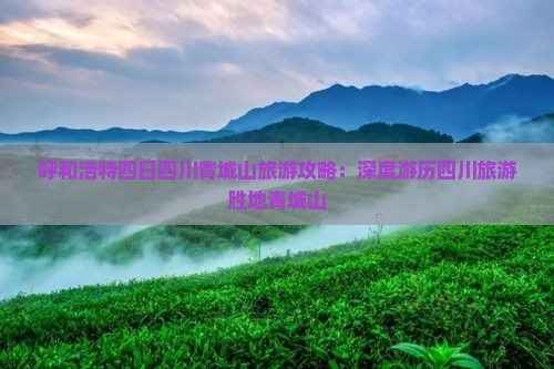 呼和浩特四日四川青城山旅游攻略：深度游历四川旅游胜地青城山
