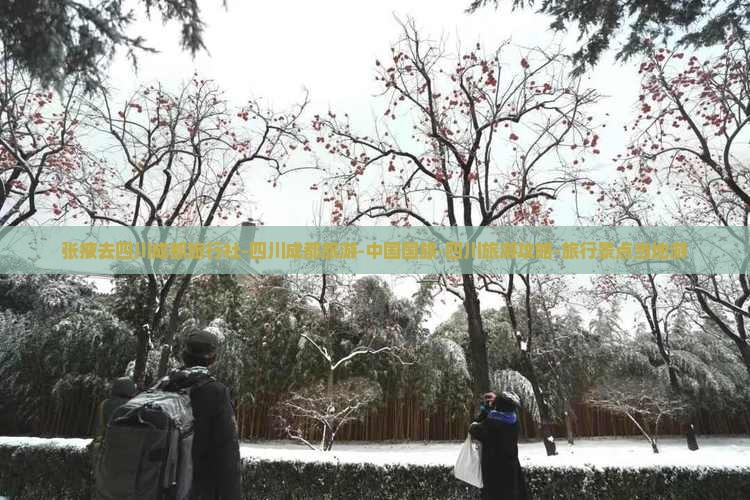 张掖去四川成都旅行社-四川成都旅游-中国国旅-四川旅游攻略-旅行景点当地游