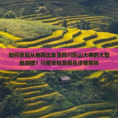 如何参加从南阳出发至四川乐山大佛的大型旅游团？行程安排及报名详情解析