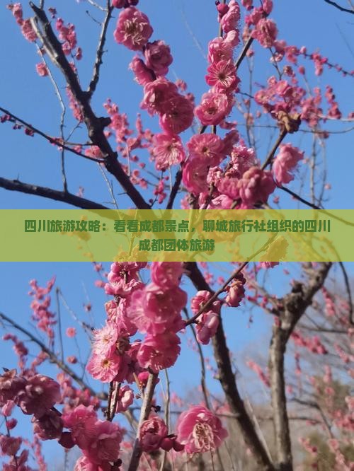四川旅游攻略：看看成都景点，聊城旅行社组织的四川成都团体旅游