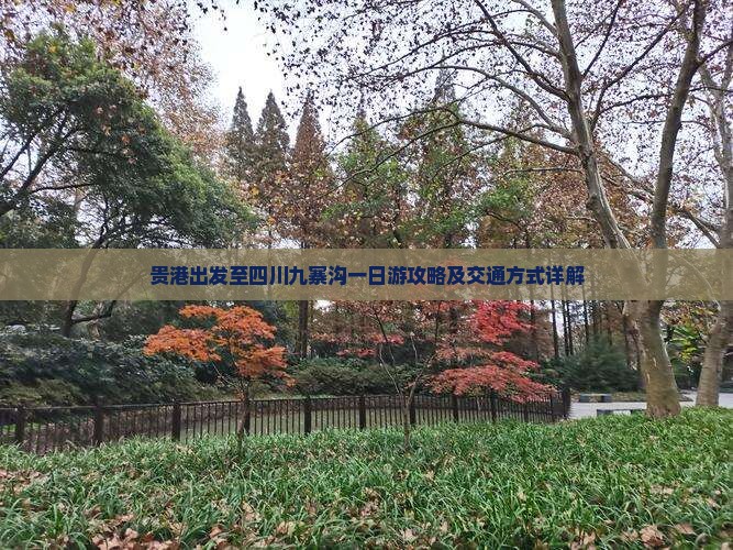 贵港出发至四川九寨沟一日游攻略及交通方式详解
