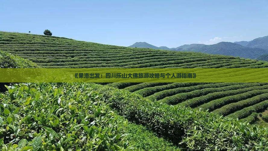 《果洛出发：四川乐山大佛旅游攻略与个人游指南》