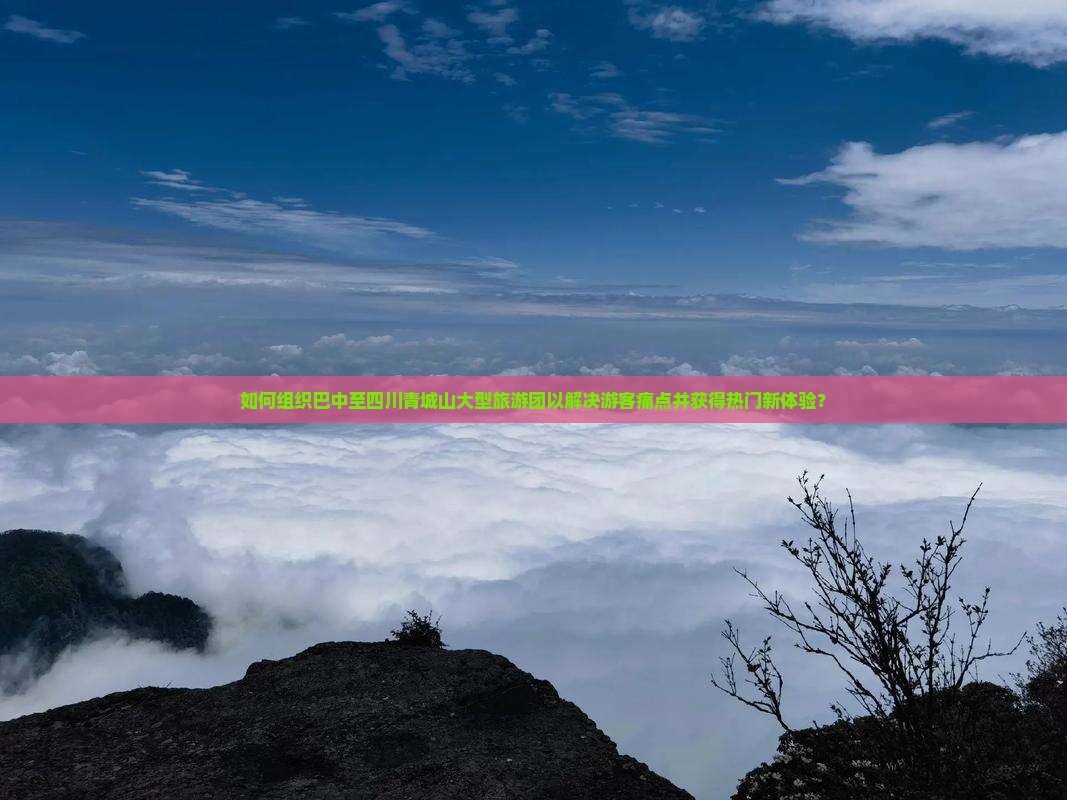如何组织巴中至四川青城山大型旅游团以解决游客痛点并获得热门新体验？