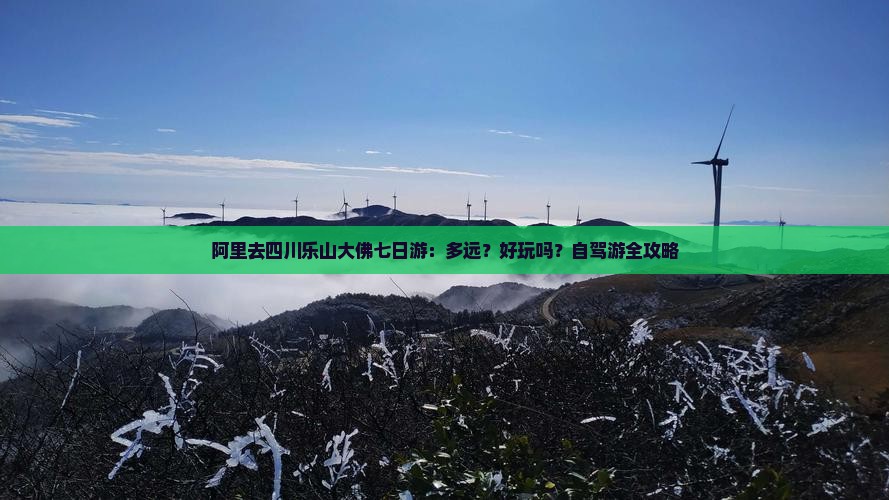阿里去四川乐山大佛七日游：多远？好玩吗？自驾游全攻略