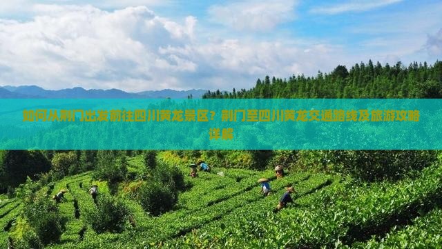 如何从荆门出发前往四川黄龙景区？荆门至四川黄龙交通路线及旅游攻略详解