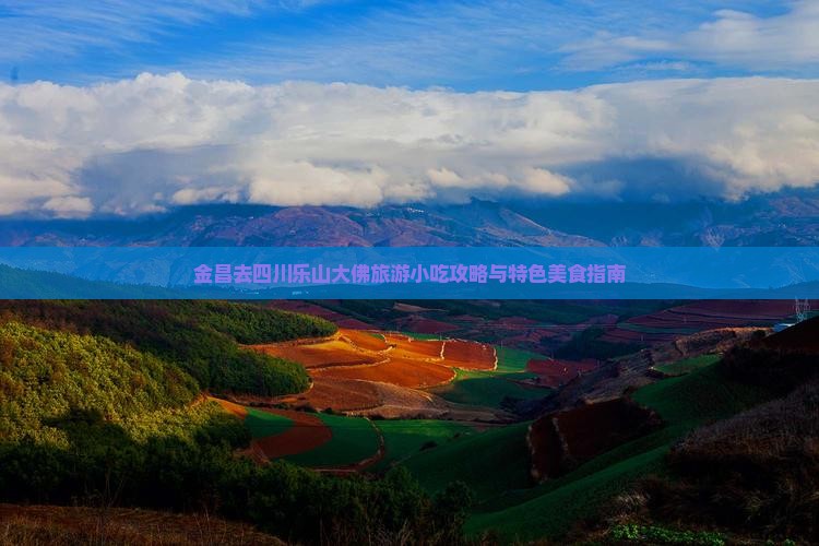 金昌去四川乐山大佛旅游小吃攻略与特色美食指南