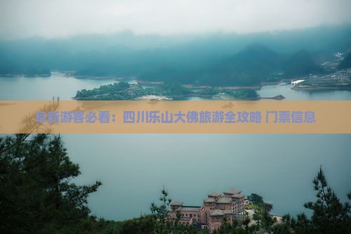 阜新游客必看：四川乐山大佛旅游全攻略+门票信息