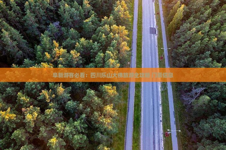 阜新游客必看：四川乐山大佛旅游全攻略+门票信息
