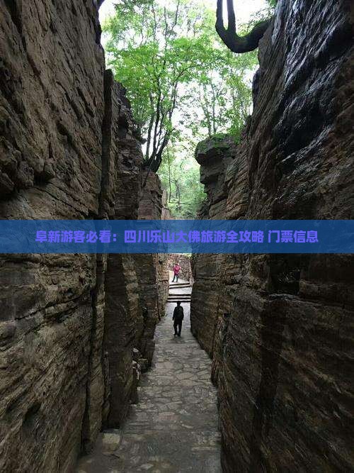 阜新游客必看：四川乐山大佛旅游全攻略+门票信息