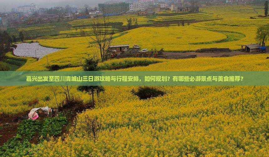 嘉兴出发至四川青城山三日游攻略与行程安排，如何规划？有哪些必游景点与美食推荐？