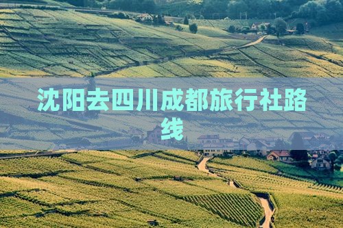 沈阳去四川成都旅行社路线