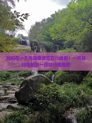 如何在一天内深度游览四川成都？一月旅行攻略及一日游行程推荐
