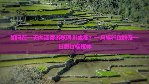 如何在一天内深度游览四川成都？一月旅行攻略及一日游行程推荐