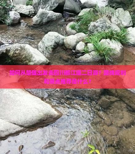 如何从楚雄出发去四川都江堰二日游？路线规划和景点推荐是什么？