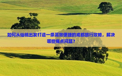 如何从仙桃出发打造一条高效便捷的成都旅行攻略，解决哪些痛点问题？