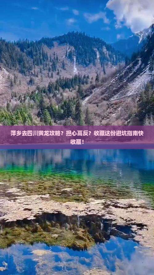 萍乡去四川黄龙攻略？担心高反？收藏这份避坑指南快收藏！