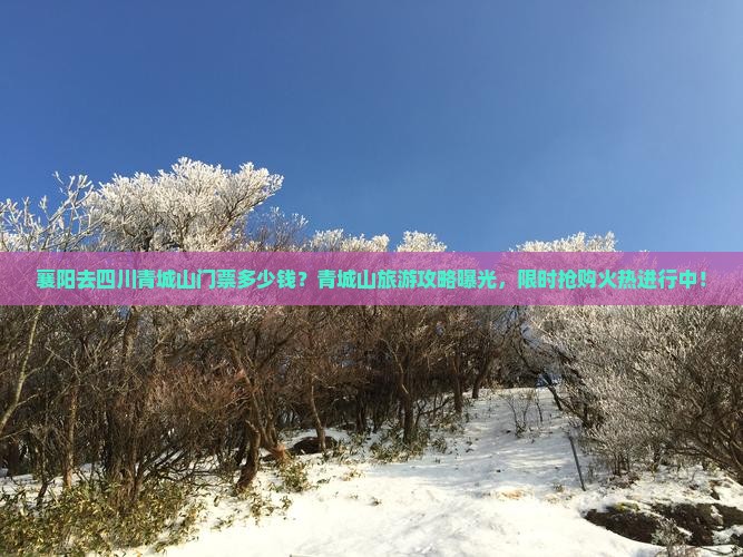襄阳去四川青城山门票多少钱？青城山旅游攻略曝光，限时抢购火热进行中！