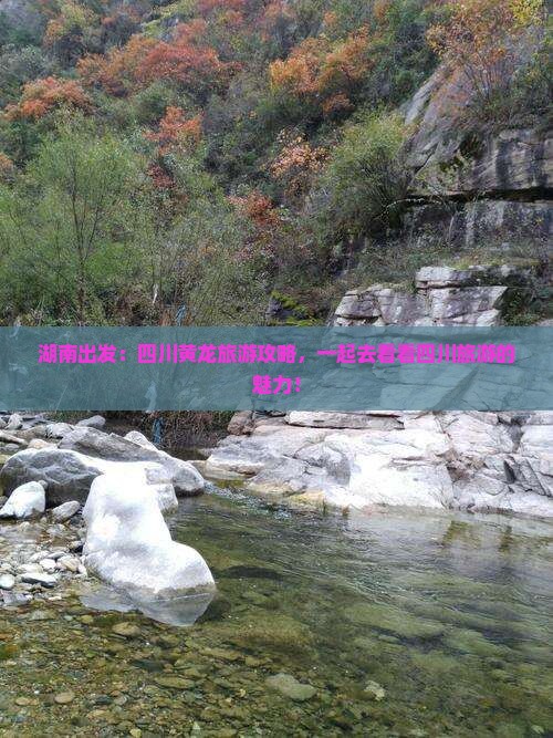 湖南出发：四川黄龙旅游攻略，一起去看看四川旅游的魅力！