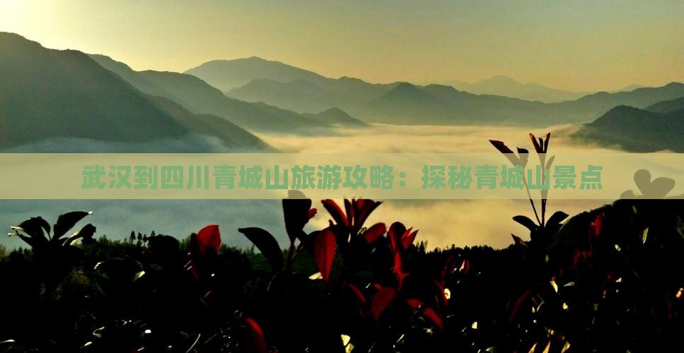 武汉到四川青城山旅游攻略：探秘青城山景点