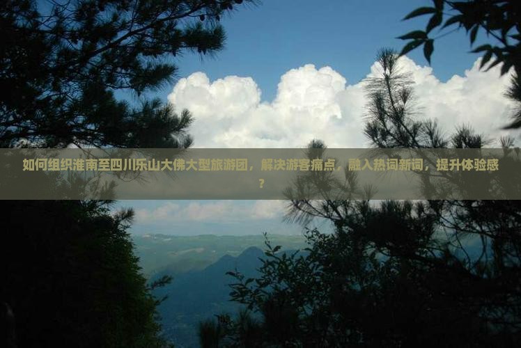 如何组织淮南至四川乐山大佛大型旅游团，解决游客痛点，融入热词新词，提升体验感？
