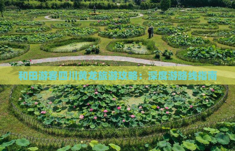 和田游客四川黄龙旅游攻略：深度游路线指南