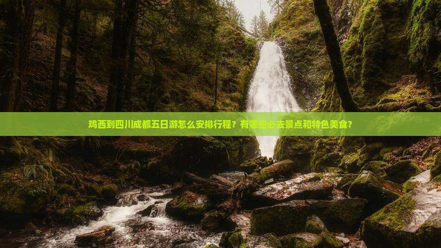 鸡西到四川成都五日游怎么安排行程？有哪些必去景点和特色美食？