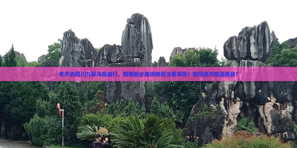 冬天去四川九寨沟自由行，有哪些必备攻略和注意事项？如何应对低温挑战？