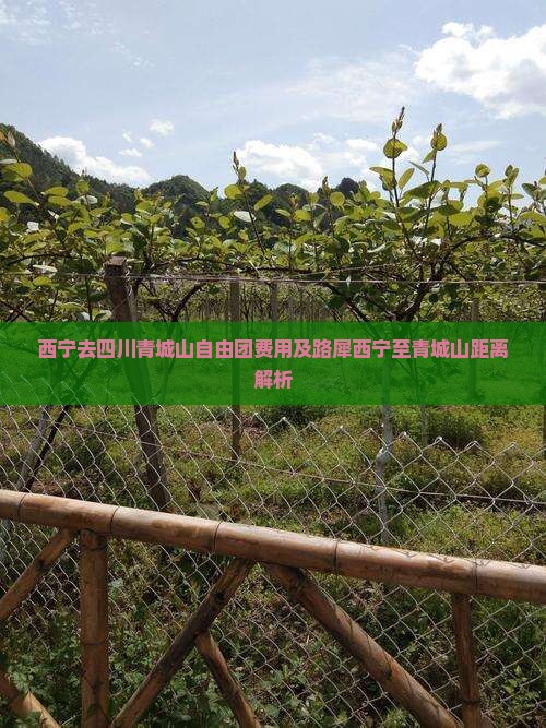 西宁去四川青城山自由团费用及路犀西宁至青城山距离解析