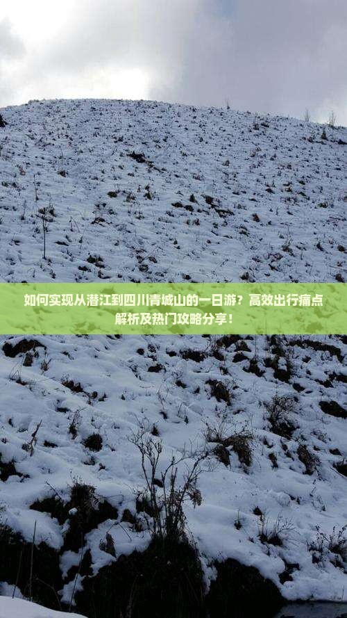 如何实现从潜江到四川青城山的一日游？高效出行痛点解析及热门攻略分享！
