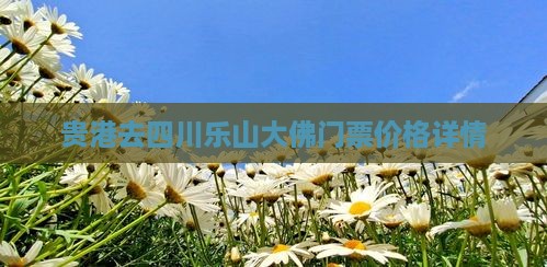 贵港去四川乐山大佛门票价格详情