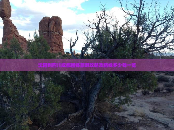 沈阳到四川成都团体旅游攻略及路线多少钱一览
