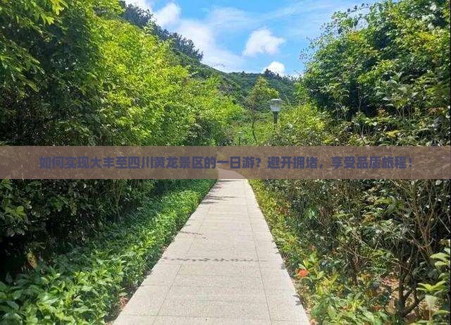 如何实现大丰至四川黄龙景区的一日游？避开拥堵，享受品质旅程！