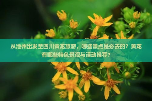 从池州出发至四川黄龙旅游，哪些景点是必去的？黄龙有哪些特色景观与活动推荐？