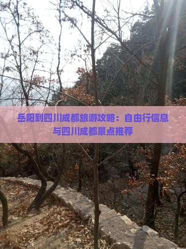岳阳到四川成都旅游攻略：自由行信息与四川成都景点推荐