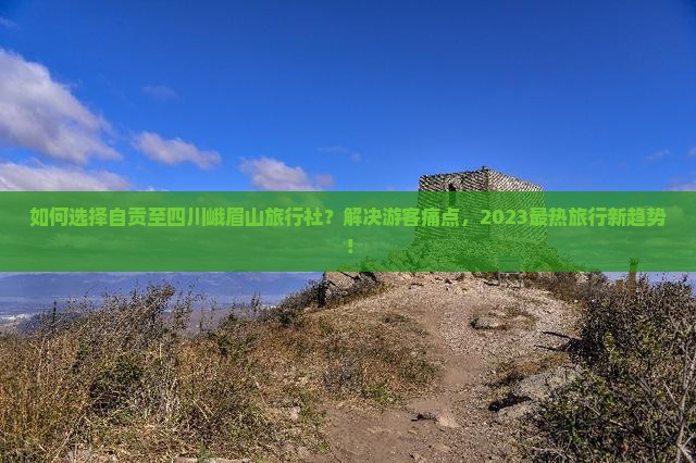 如何选择自贡至四川峨眉山旅行社？解决游客痛点，2023最热旅行新趋势！