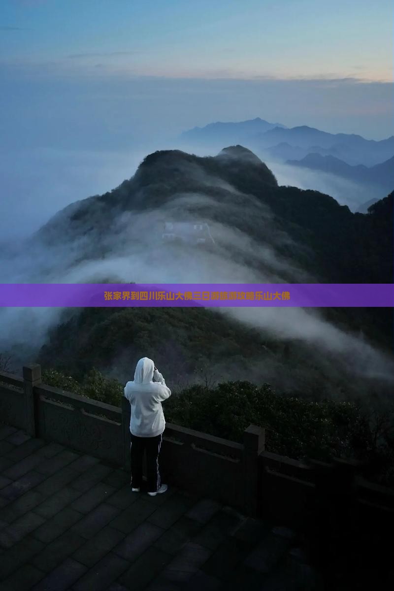 张家界到四川乐山大佛三日游旅游攻略乐山大佛