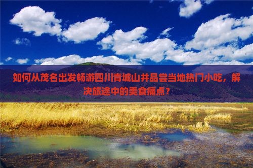 如何从茂名出发畅游四川青城山并品尝当地热门小吃，解决旅途中的美食痛点？