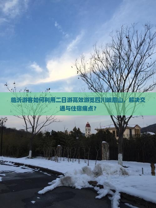 临沂游客如何利用二日游高效游览四川峨眉山，解决交通与住宿痛点？