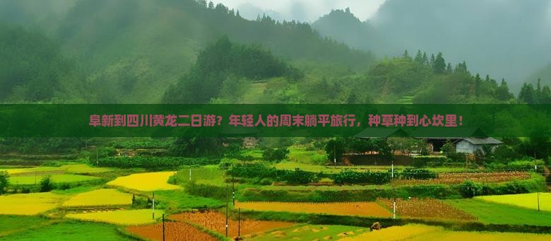 阜新到四川黄龙二日游？年轻人的周末躺平旅行，种草种到心坎里！