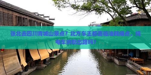 张北去四川青城山景点？北方车主都面临油耗痛点，纯电车纳新出路吗？