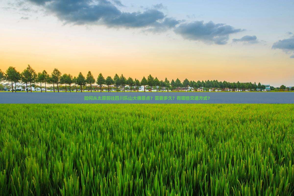 如何从太原前往四川乐山大佛景点？需要多久？有哪些交通方式？