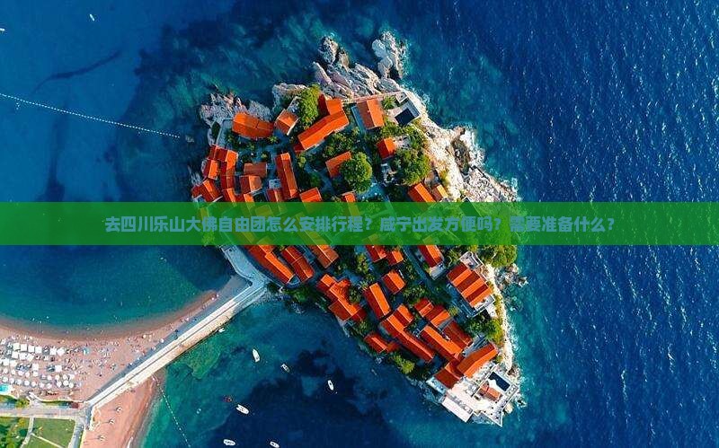 去四川乐山大佛自由团怎么安排行程？咸宁出发方便吗？需要准备什么？